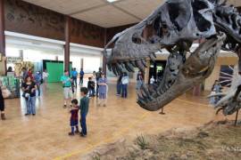 El Museo del Desierto cuenta con un acervo paleontológico muy importante.
