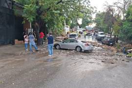 Saltillo acumula 650,7 milímetros de lluvia en lo que va del 2025, la cifra más alta para los primeros ocho meses desde 1980.