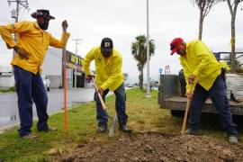 La Dirección de Medio Ambiente y Desarrollo Sustentable inició este sábado con los trabajos.