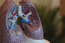COVID-19 podría seguir en pulmones de pacientes recuperados, señala estudio