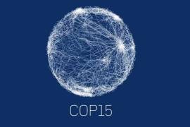 La Conferencia de Biodiversidad de la ONU (COP15), que arranca hoy de manera virtual aunque con la ciudad meridional china de Kunming. Foreign Brief