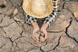 El campo coahuilense está resintiendo los 56 municipios meses consecutivos que más de la mitad de la entidad está bajo sequía.
