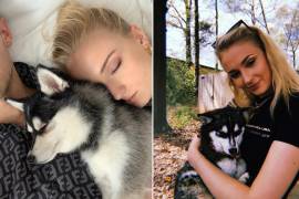 Sophie Turner y Joe Jonas rinden homenaje a su perro fallecido con tatuaje