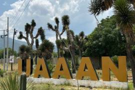 Ocho académicos solicitaron su registro para participar en el proceso de elección de Rector de la UAAAN.