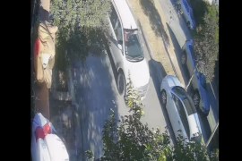 El video del moment del atropellamiento del perrito se viralizó en redes sociales, generando cientos de reacciones y comentarios.