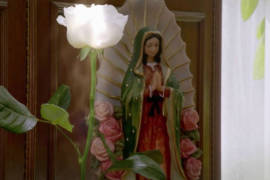 ¡Increible pero cierto! 'La Rosa de Guadalupe' derrota a 'Exatlón' como el programa más visto en TV abierta