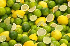 El presidente del Comité Nacional de Productores de limón adelantó que el precio de la fruta reducirá considerablemente su precio a partir de las próximas dos semanas