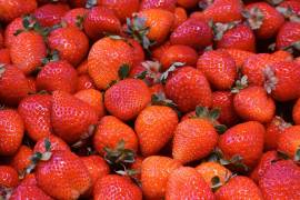 Los 12 alimentos más contaminados de 2026: pesticidas y químicos “eternos” en tu mesa