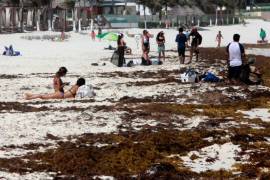 Sargazo se cuadriplica y amenaza con inundar al Caribe mexicano
