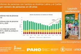 El hambre en América Latina creció por sexto año consecutivo en 2020 con una alza del 30 % respecto al año anterior y afectando a 59.7 millones de personas, el mayor nivel en 20 años. FAO/Twitter