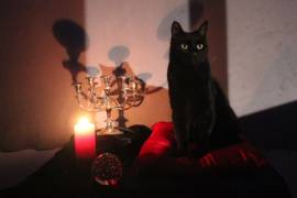 Así luce Salem, el gato de Sabrina, en la serie de Netflix