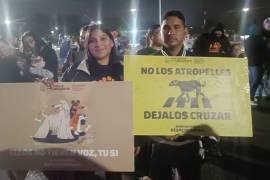 Como parte de las acciones de concientización, se realizó una marcha por el respeto animal para promover la tenencia responsable y el cuidado de los animales de compañía.
