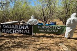 Gabinete de Seguridad presenta informe con las cifras más recientes de estas acciones implementadas en la actual administración | Foto: Especial