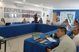 La Asociación Mexicana de Profesionales Inmobiliarios (AMPI), sección Piedras Negras, participará por primera vez en el Consejo de Desarrollo Urbano Municipal tras la invitación del Ayuntamiento.