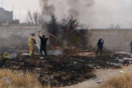 Bomberos trabajaron para sofocar las llamas en un terreno baldío de la colonia Federico Cárdenas.