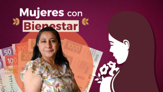 Además de mitigar carencias económicas, el programa Mujeres con Bienestar busca empoderar a las beneficiarias mediante capacitación, asesorías y acceso a descuentos.