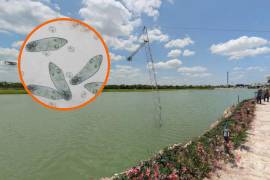 Autoridades sanitarias restringieron temporalmente el acceso a seis lagos de Mérida tras detectar la ameba Naegleria en el agua.