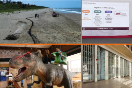 Noticias del fin de semana en México: derrame llegaría a Texas; México supera los 130 mil desaparecidos y mexicano muere bajo custodia del ICE