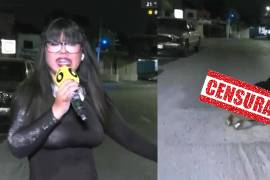La modelo y conductora Robertita Franco sufrió un aparatoso accidente en vivo al caer en un bache durante una transmisión de Es Show, provocando la risa de Ernesto Chavana y una ola de comentarios en redes sociales.