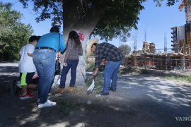 Raúl Steel, integrante del colectivo, reconoce el valor simbólico del nogal como punto de unión comunitaria.