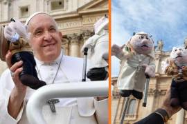 El muñeco representativo de la cadena de farmacias, Dr. Simi, ha llegado al Papa Francisco en el Vaticano.