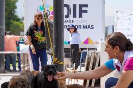 Durante la jornada se aplicarán vacunas antirrábicas y desparasitación externa a perros y gatos.