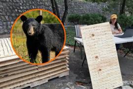 Autoridades de Nuevo León pidieron suspender, retirarlas, así como se interpuso una denuncia por la repartición y colocación de tablas con clavos para impedir el ingreso de osos negros.