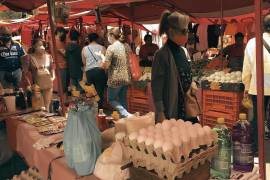 Las MEITEF miden la aportación de la economía informal al esfuerzo productivo de las entidades federativas de México.