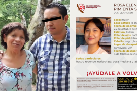 La Guardia Nacional y la Comisión Estatal de Búsqueda Veracruz están trabajando intensamente, con operativos y cateos en la residencia del youtuber