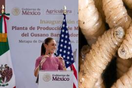 México y Estados Unidos inauguran planta para prevenir propagación del gusano barrenador
