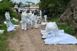 El Gobierno de Guatemala informó que se encuentra en contacto con las autoridades mexicanas para identificar a varios ciudadanos guatemaltecos que se encuentran entre los 19 muertos en un tiroteo.