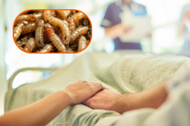 Mueren tres adultos mayores que tuvieron gusano barrenador