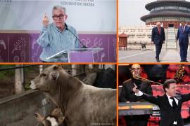 Noticias para el fin de semana: Se entregan a EU cercanos a Rocha Moya y UIF congela cuentas