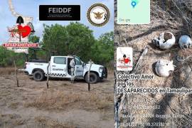 Fotografías de la fosa clandestina en el predio de Reynosa