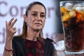 La Presidenta expresó su preocupación por el alto nivel de consumo de esta bebida en el país.