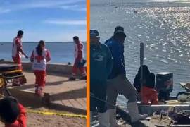 Un joven de 21 años de edad perdió la vida a causa de un ataque de tiburón, en la playa de Tojahui, en el municipio de Huatabampo, Sonora.