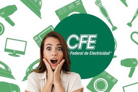 Consulta cómo es el proceso de solicitud de renovación de electrodomésticos a través del Programa ASI de la CFE.