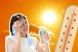 El calor ya se está empezando a sentir desde el mes de marzo y febrero, las altas temperaturas es uno de fenómenos climáticos que más inquieta a la población es la llegada de la canícula.