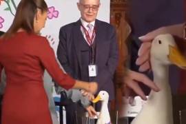 El famoso Pato Merlín llegó a Palacio Nacional junto a su familia y protagonizó un curioso momento con Claudia Sheinbaum, luego de reaccionar con un inesperado picotazo antes de la fotografía oficial.