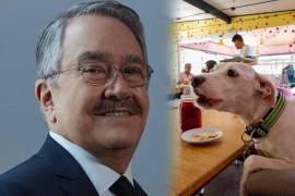Un video de 2022 volvió a colocar a Pedro Sola en el centro de la controversia tras mostrarlo proponiendo cortar las cuerdas vocales a los perros.