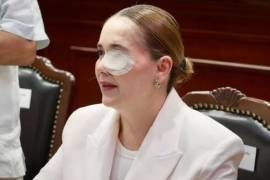 La diputada de Movimiento Ciudadano, Elizabeth Montoya Ojeda, retornó a su curul en Sinaloa entre muestras de cariño y fraternidad, luego de haber sido víctima de un atentado a balazos el pasado 28 de enero.