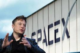 Al cierre de la semana pasada, el inversionista promedio que compró acciones de SpaceX había visto desaparecer casi todas sus ganancias.