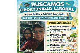 Entre sus habilidades, mencionan experiencia en el manejo de animales y construcción de casas para perro, además de otras actividades generales.