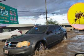 Durante la penúltima semana de junio, se presentaron lluvias en distintas partes de Saltillo | FOTO: VANGUARDIA