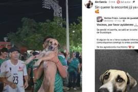 Gorda, perrita desaparecida en Ciudad Victoria, fue encontrada gracias a los festejos por la victoria de México ante Chequia en el Mundial 2026.