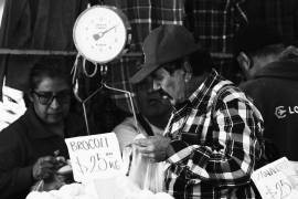 Si los ingresos mensuales de la población son suficientes para adquirir los productos de las canastas alimentaria y no alimentaria se encuentran por encima de las Líneas de Pobreza que estudia Inegi.