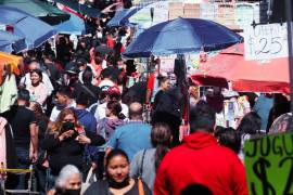 El objetivo de las Líneas de Pobreza es determinar si los ingresos mensuales de la población son suficientes para adquirir los productos.