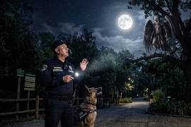 El Hombre Pájaro, también conocido como el Hombre Polilla, es una entidad legendaria avistada en México y Estados Unidos.