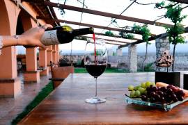 Texas sería la puerta de entrada para los vinos coahuilenses, hacia la Unión Americana