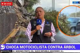 La reportera Alma Mireya de la Rosa y su camarógrafo, Cristo Morales, fueron atropellados por una camioneta cuando realizaban un reporte en vivo.